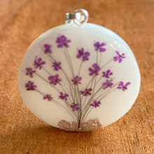 Árvore de Leite e Fios de Cabelo