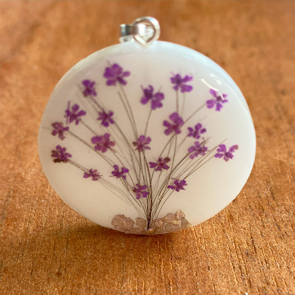 Árvore de Leite e Fios de Cabelo