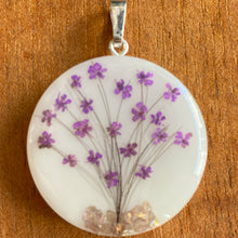 Árvore de Leite e Fios de Cabelo